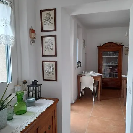 L'oro Di Nonna Adele *