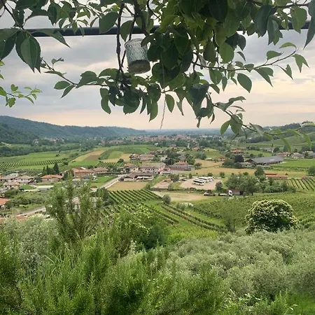 L'oro Di Nonna Adele Nimis