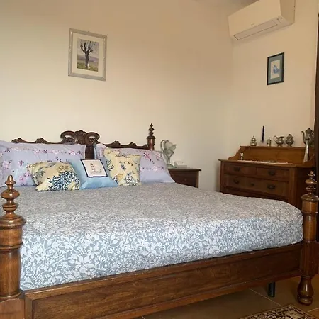 L'oro Di Nonna Adele