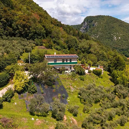 L'oro Di Nonna Adele Nimis