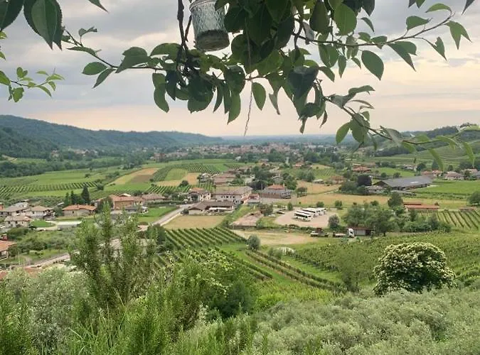 L'oro Di Nonna Adele Nimis